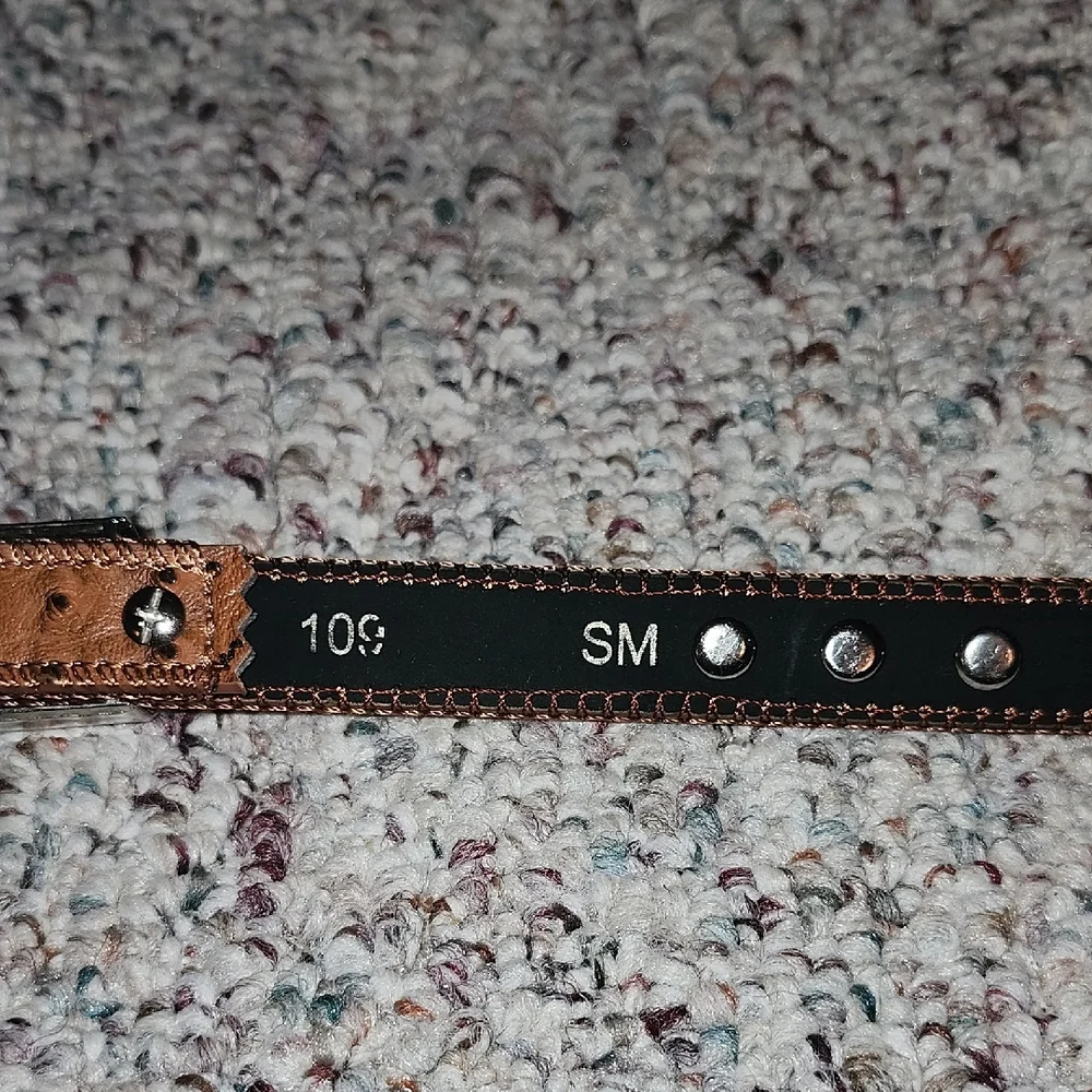 Shyanne Rhinestone Girls Brown Belt